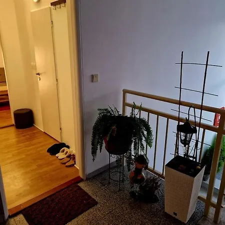 Slnecny V Blizkosti Historickeho Centra Free Parking