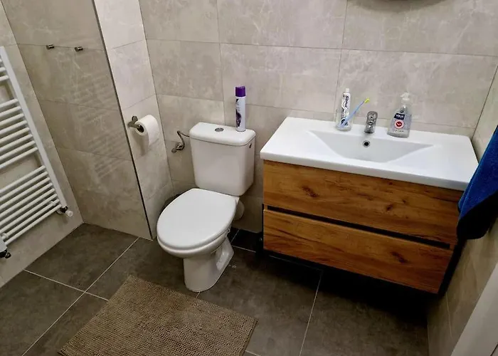 Apartment Slnecny ,dobra Adresa-free Parking Trencin